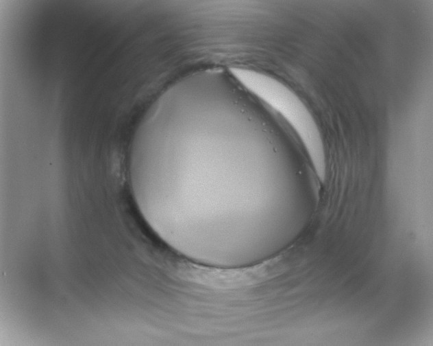 X0000068730031200605192331