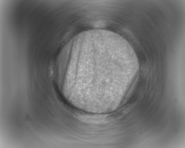 X0000068730032200605192331