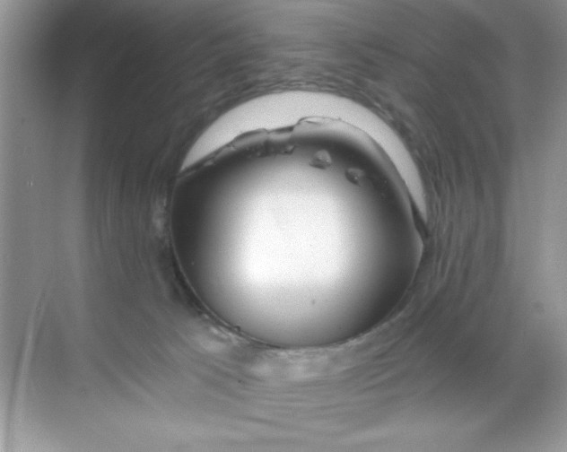 X0000068730033200605192331