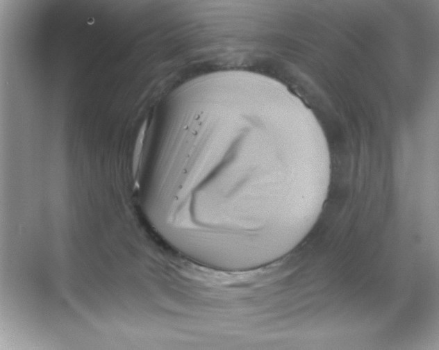 X0000068730035200605192331