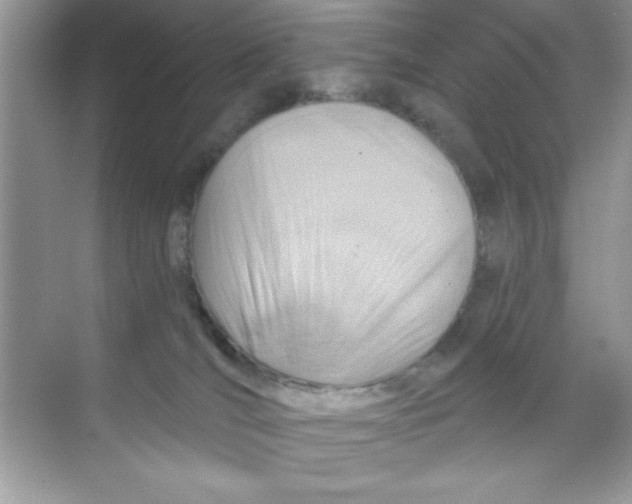 X0000068730036200605192330