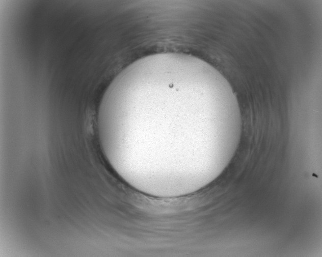 X0000068730038200605192330