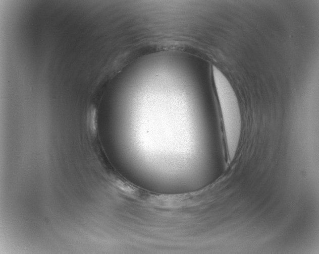 X0000068730041200605192330