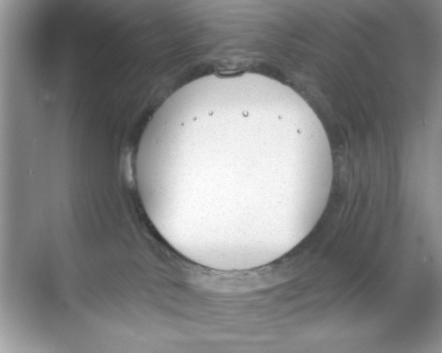 X0000068730042200605192330