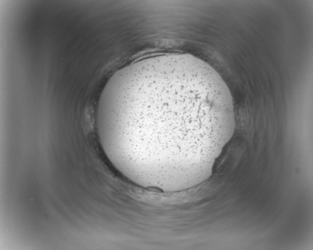 X0000068730043200605192330