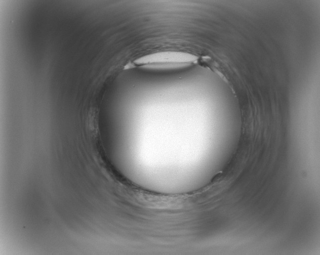 X0000068730044200605192330