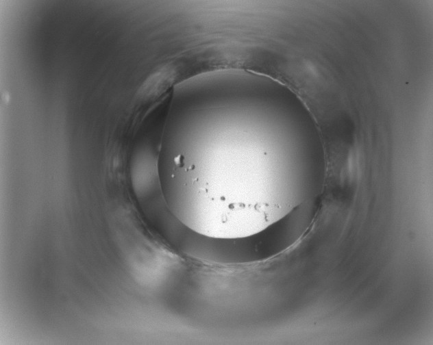 X0000068730045200605192330