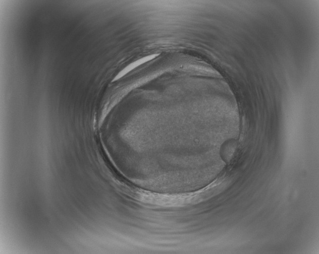 X0000068730048200605192330