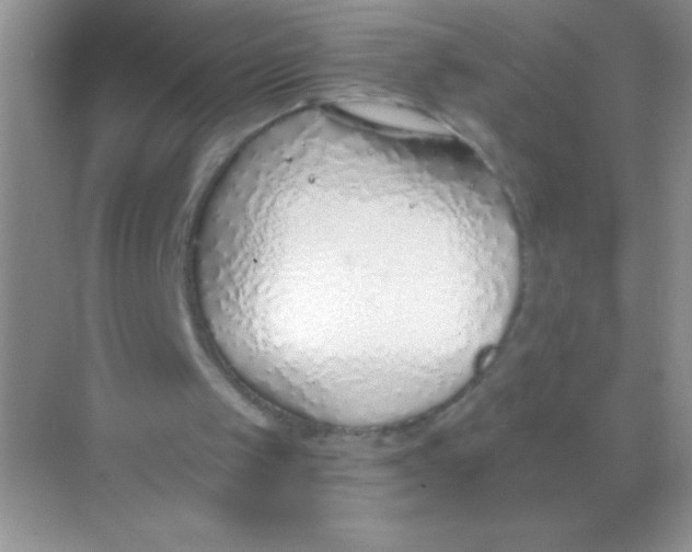 X0000068730049200605192329