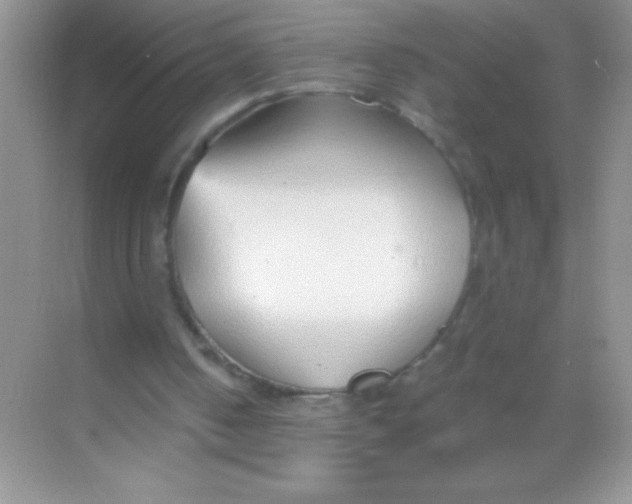 X0000068730050200605192329