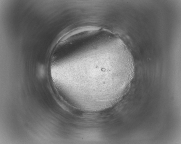 X0000068730051200605192330