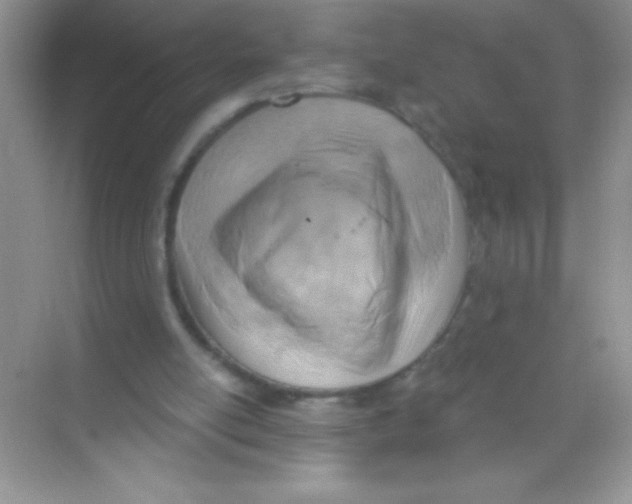 X0000068730054200605192330