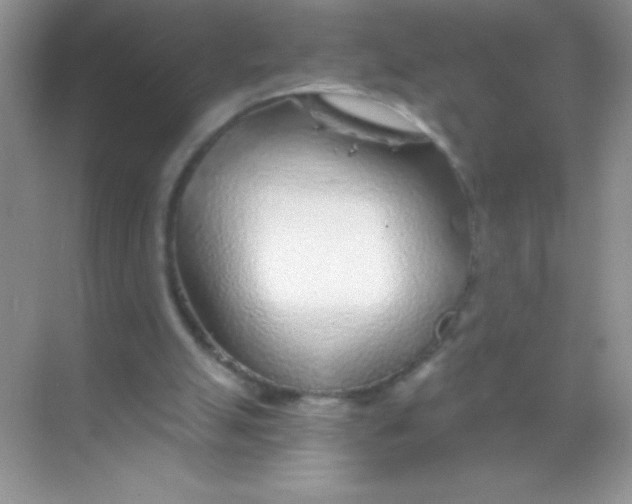 X0000068730055200605192330