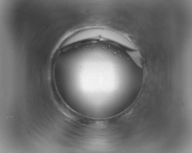 X0000068730056200605192330