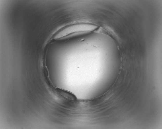 X0000068730060200605192330