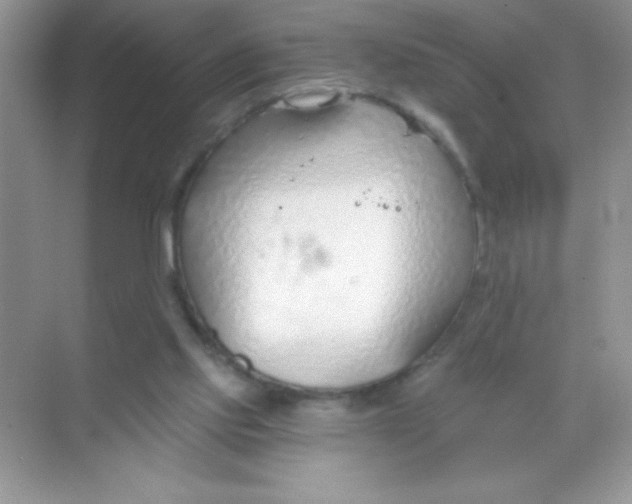 X0000068730061200605192330