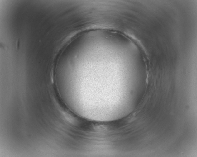 X0000068730062200605192330