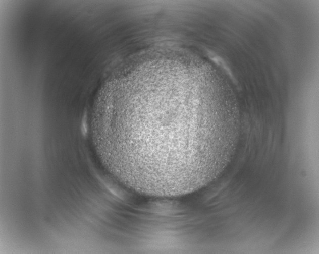 X0000068730069200605192330