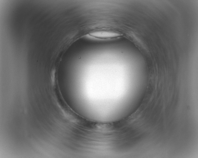 X0000068730070200605192330