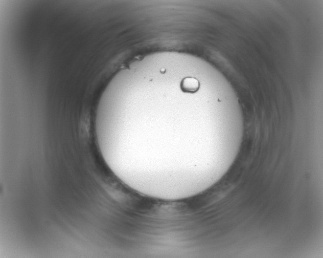 X0000068730072200605192330