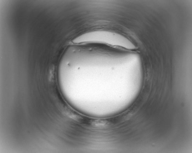 X0000068730073200605192330