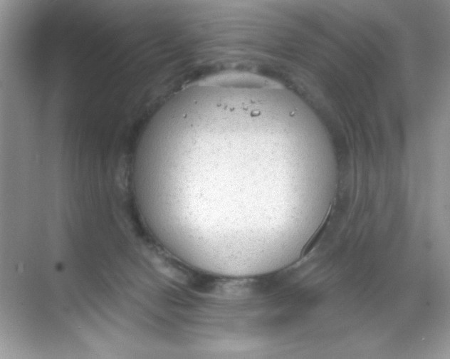 X0000068730078200605192330