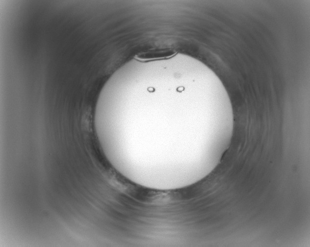 X0000068730083200605192330