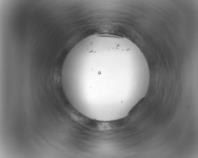 X0000068730091200605192330