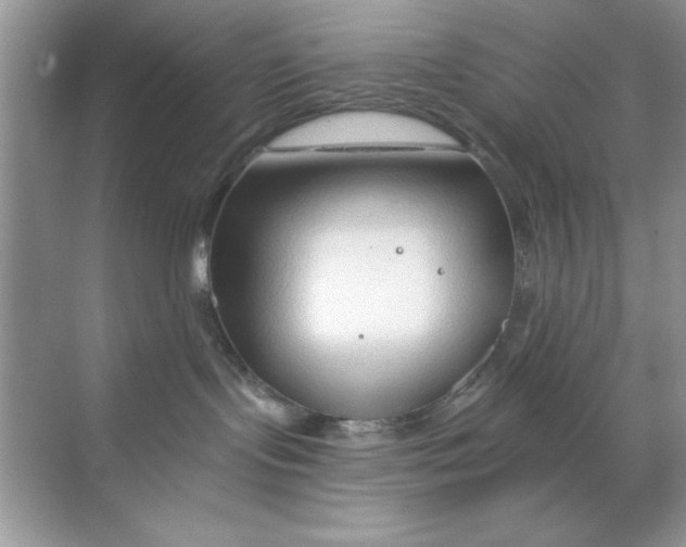 X0000068730095200605192330