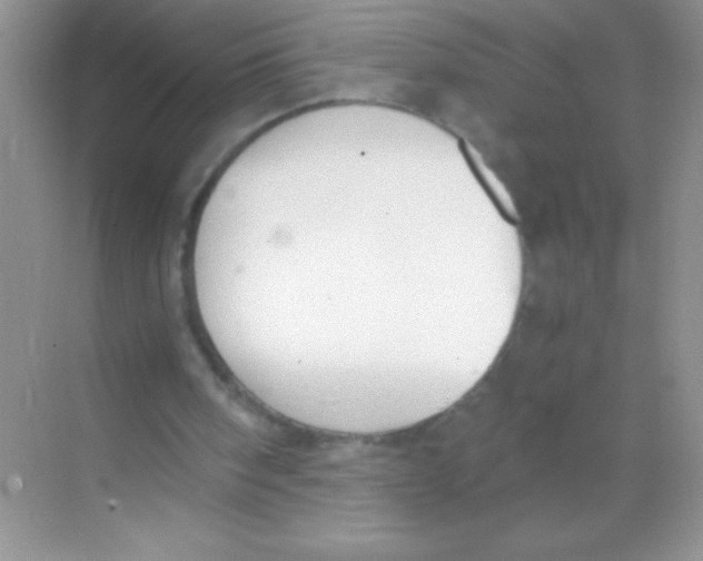 X0000068730098200605192329