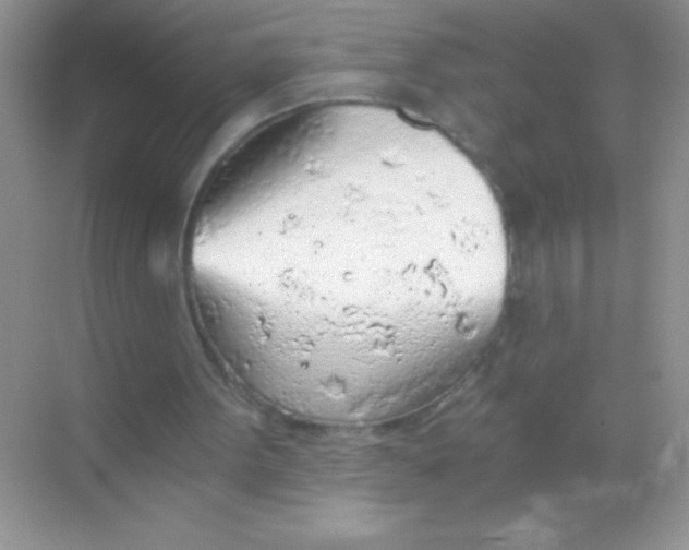 X0000068730099200605192329