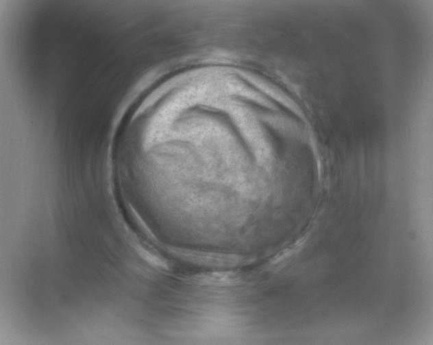 X0000068730102200605192329