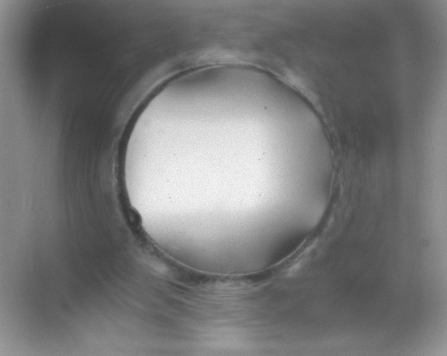 X0000068730103200605192329