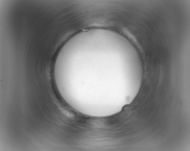 X0000068730106200605192329