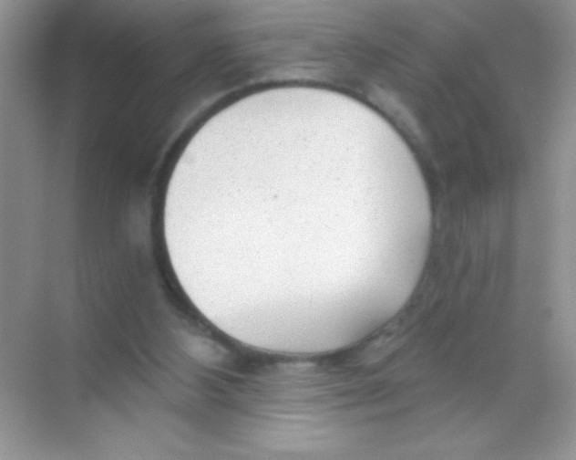 X0000068730108200605192329