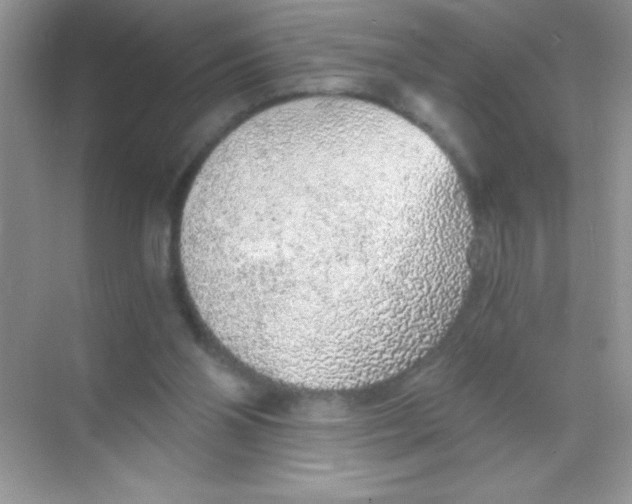 X0000068730110200605192329