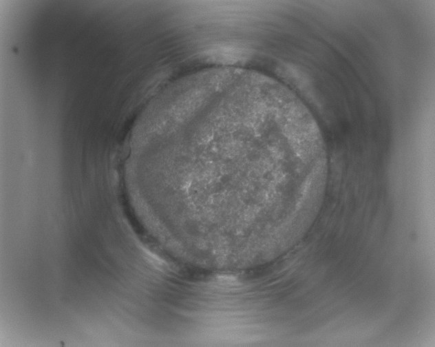 X0000068730114200605192329