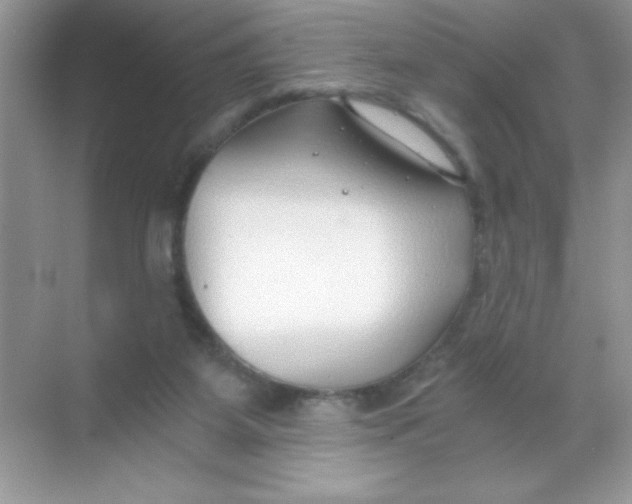 X0000068730115200605192329