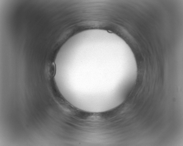 X0000068730119200605192329