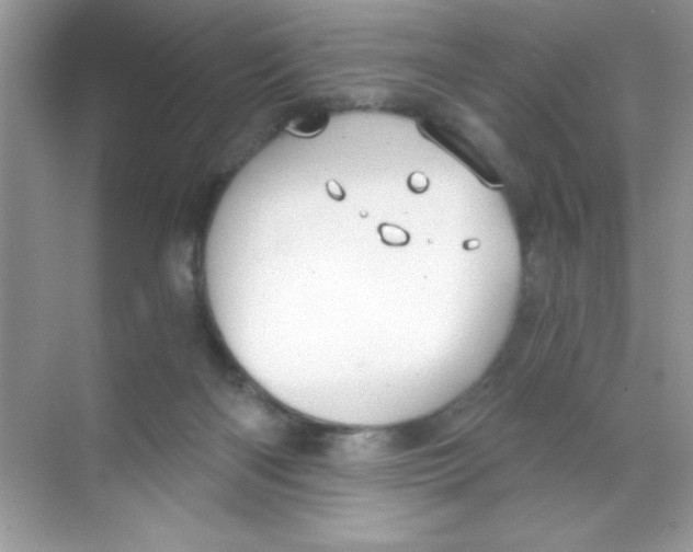 X0000068730122200605192329