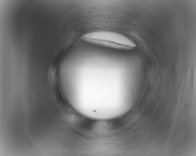 X0000068730123200605192329