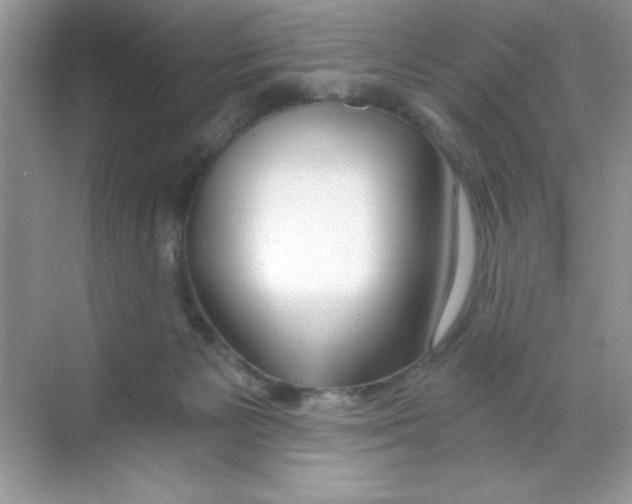 X0000068730125200605192329