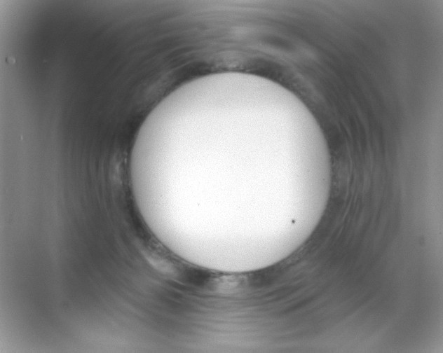 X0000068730126200605192329