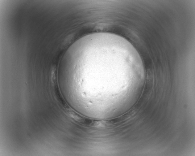 X0000068730127200605192329