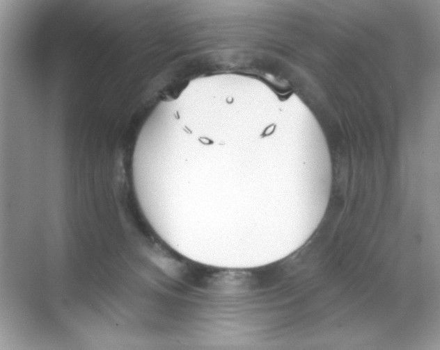 X0000068730128200605192329