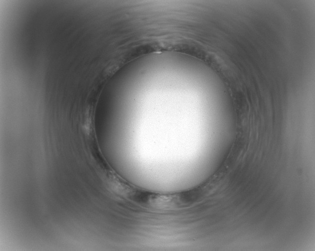 X0000068730129200605192329