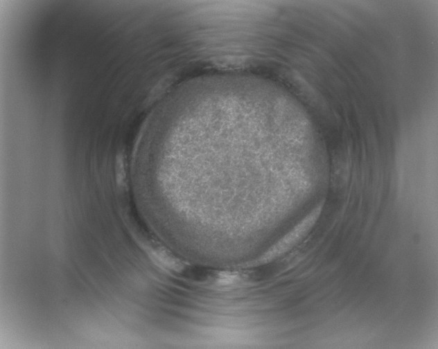 X0000068730130200605192329