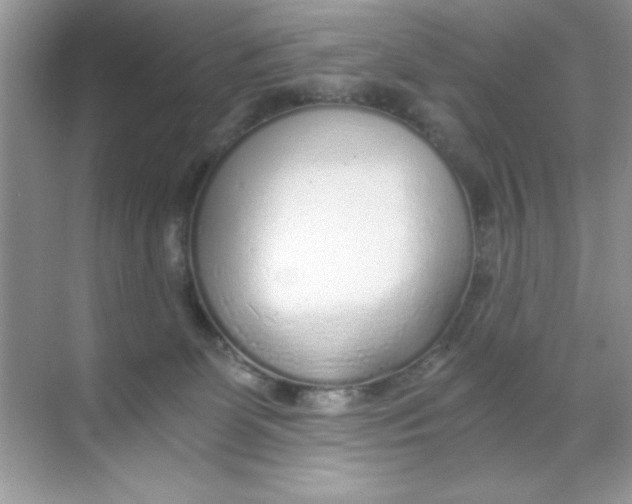 X0000068730131200605192329