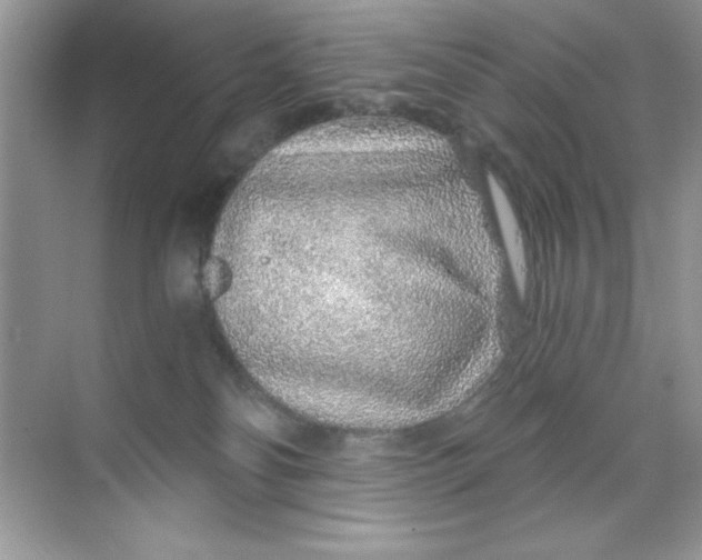 X0000068730134200605192329