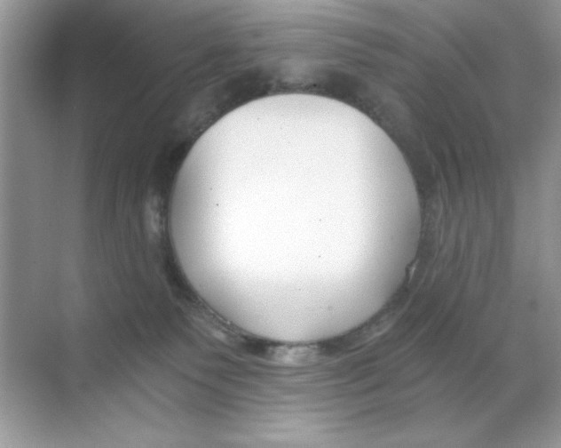 X0000068730135200605192329